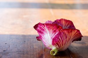 susan orringe tina knowles photography-4746-min susan orringe tina knowles photography-4746-min