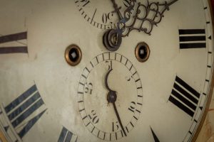 susan orringe tina knowles photography-4784-min susan orringe tina knowles photography-4784-min